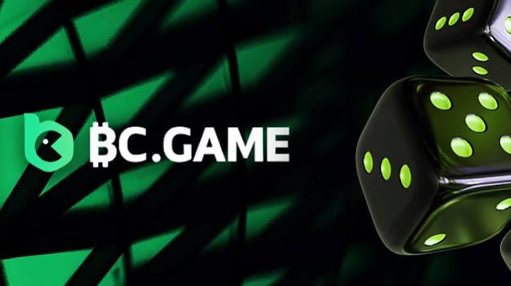 Exploring BC.Game The Future of Online Casino Platforms